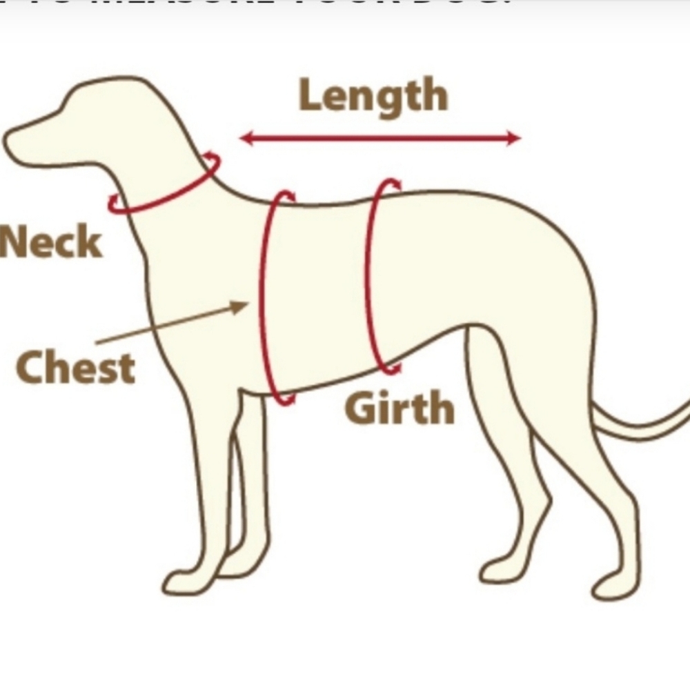 Sugar Skull Small Dog Halloween Costume Loungewear - Picture 2 of 2